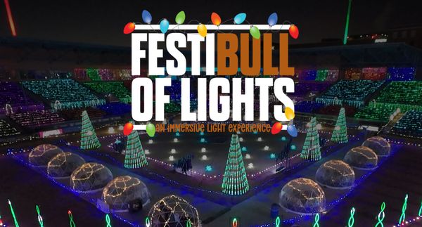 FestiBull of Lights opens at Durham Bulls Athletic Park