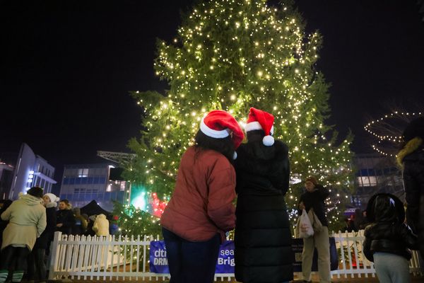 达勒姆市中心节日圣诞树点灯