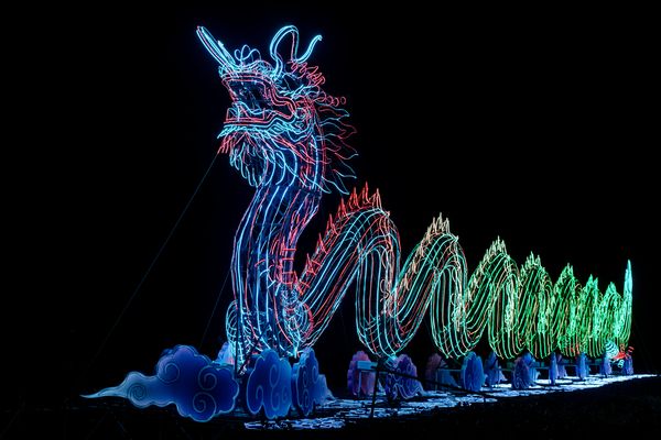 NC Chinese Lantern Festival opens