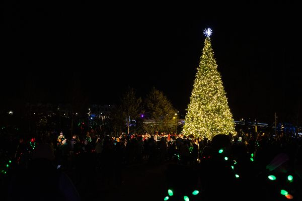 Tree Lighting Celebration at Downtown Cary Park